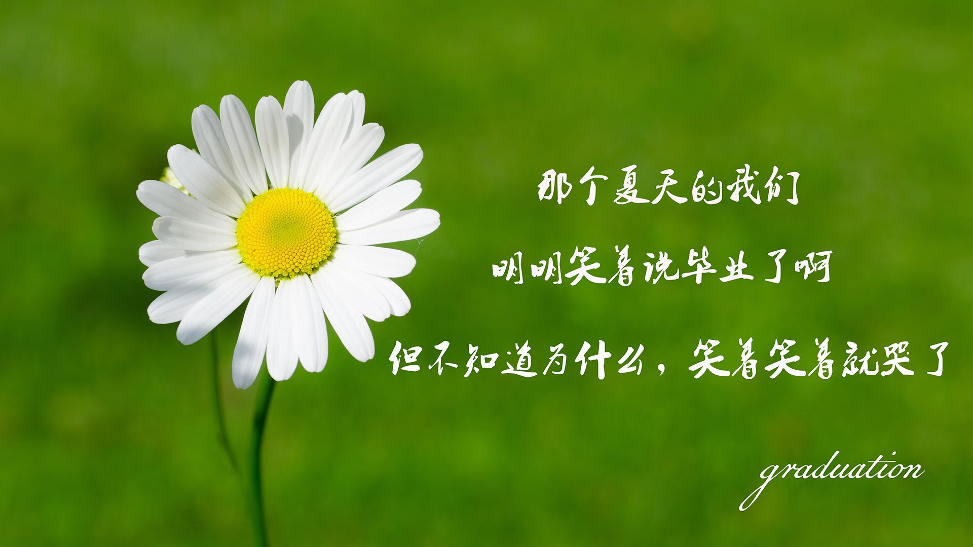 _城市绿道马拉松：环保与健康新生活_，城市马拉松的利弊