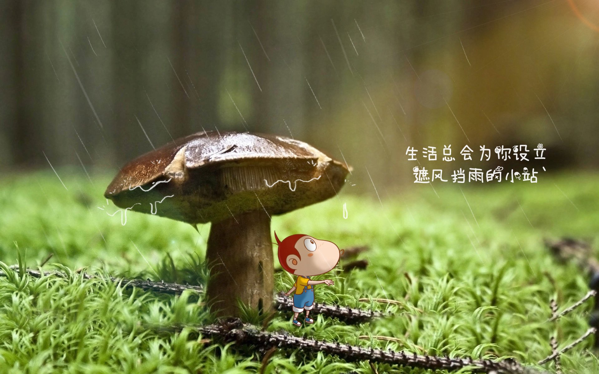 Leyu Sports (乐鱼体育)-体育总局助力特色篮球赛事全国推广，扩大影响力，篮球比赛推广方案