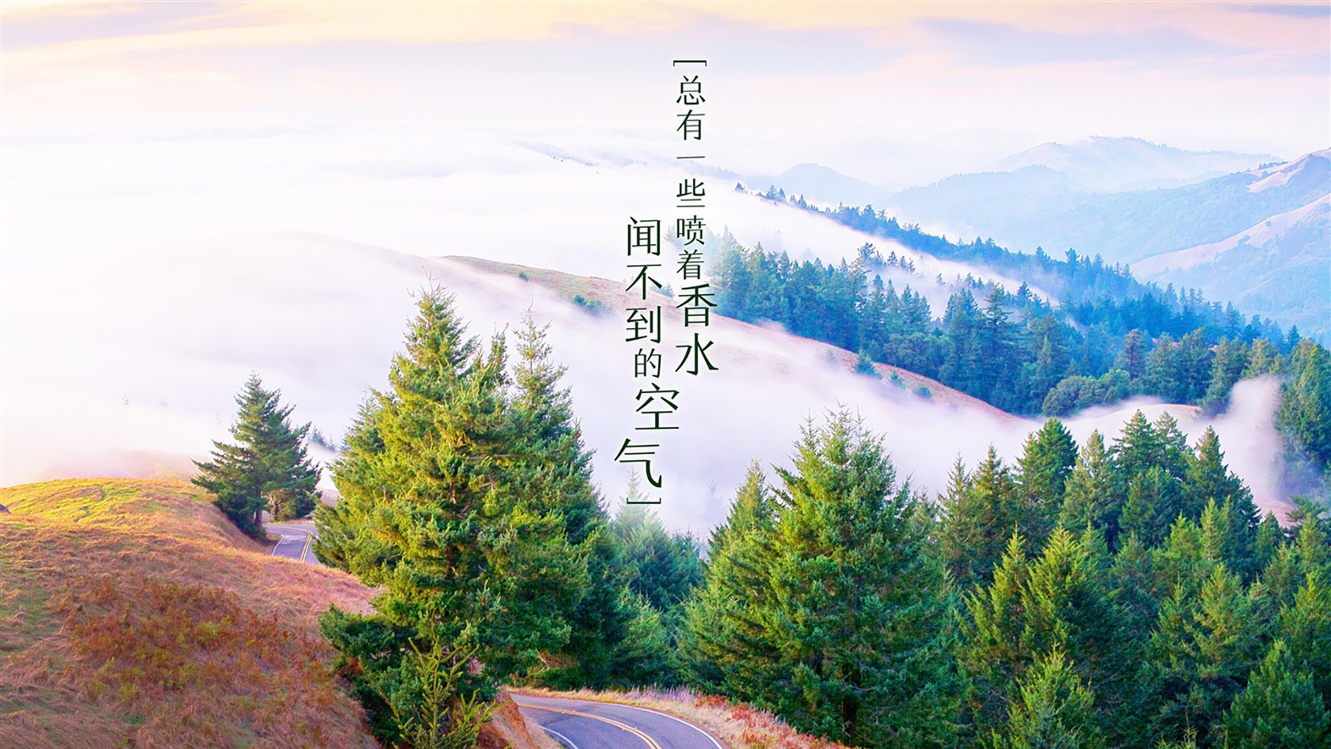 乐鱼体育平台官网-战术大揭秘：哪种策略赢得最多比赛？，策略和战术举例
