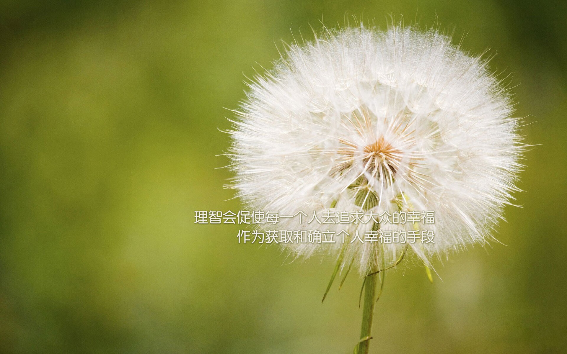乐鱼体育App下载-弗拉门戈前锋佩德罗在巴西杯中表现出色，助球队夺冠，佩德罗在巴萨的号码