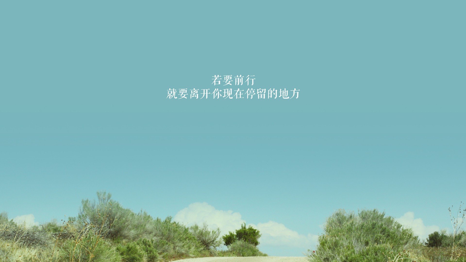 乐鱼（LEYU）体育-球场上的风暴，足球盛宴掀起高潮，足球场上风采