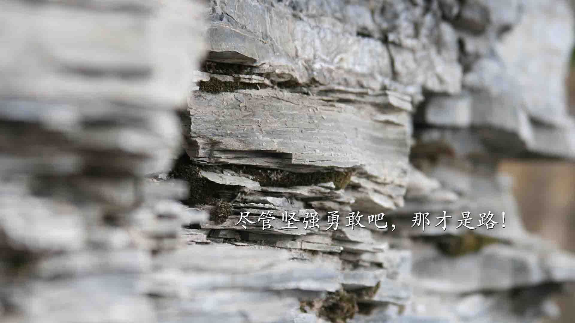 乐鱼体育平台app下载-瑞士国家队发布冬奥雪地战术手册：走直线，不滑倒，瑞士冬运会