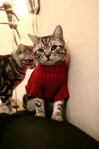 乐鱼体育App下载-安东·李恩：用精准的传球和灵动的跑位，带领全黑队驰骋全场，李恩东简历