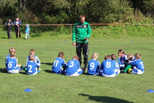 乐鱼（LEYU）体育-意甲攻守大比拼：速度与战术的融合！，意甲战术强在哪里