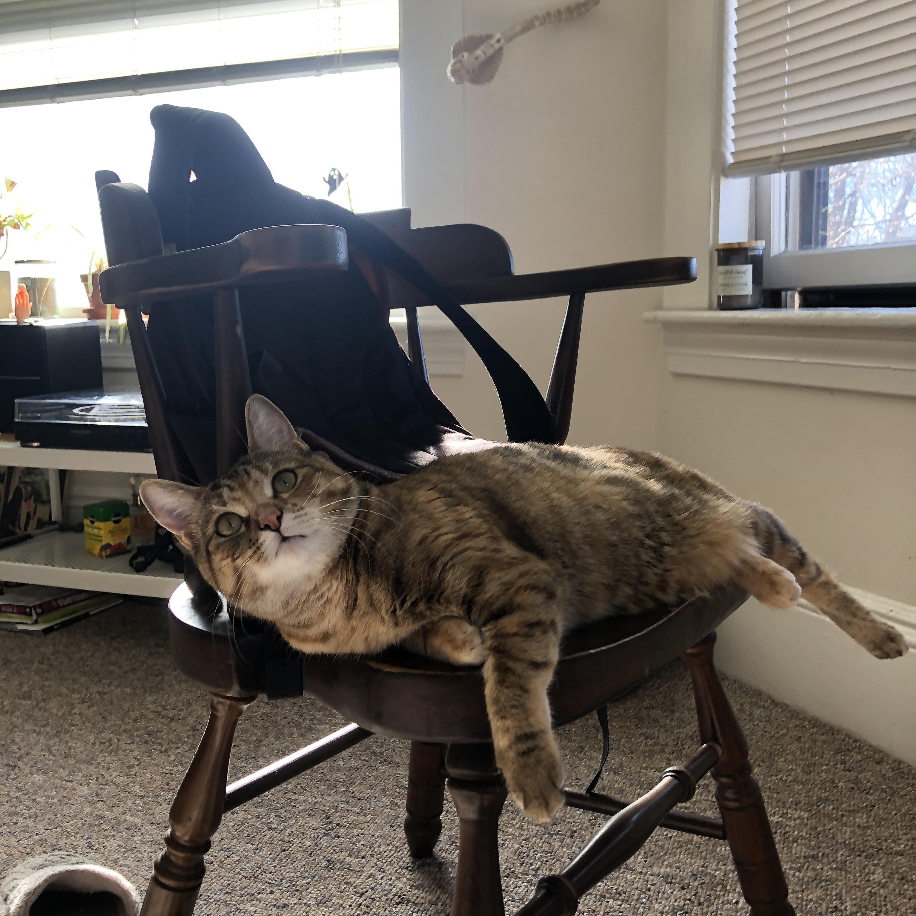 意甲联赛中的新兴战术理念,意甲新规则