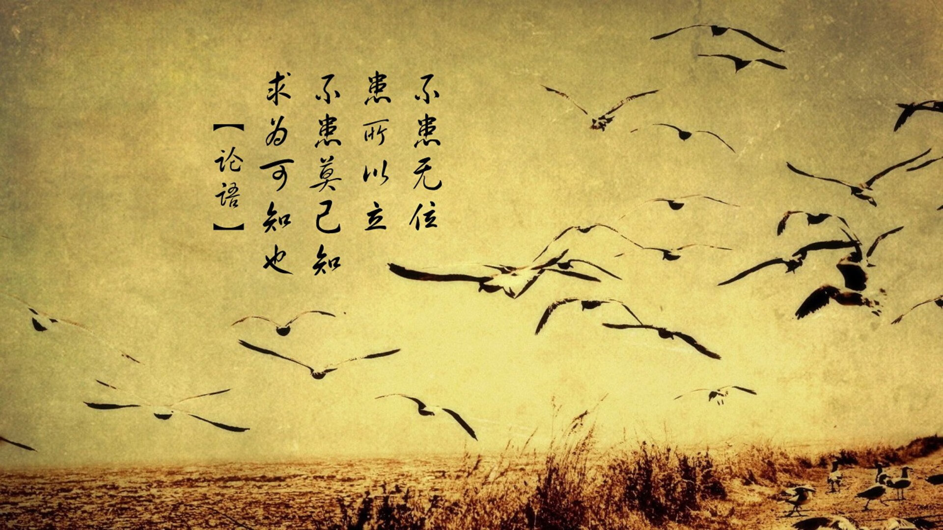 乐鱼app-掘金前场篮板持续压制对手，掘金队前锋