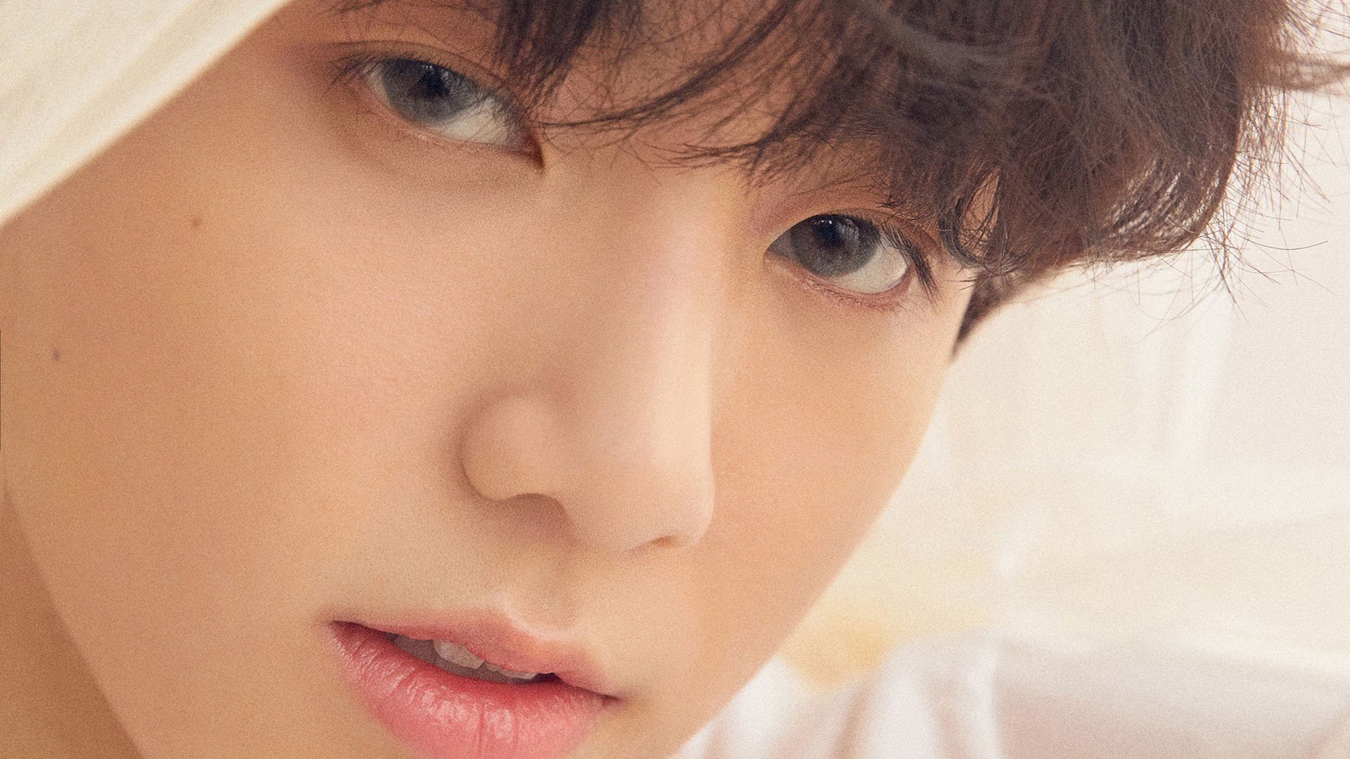 乐鱼（中国）体育官方网站-蝶泳赛场朝鲜选手爆发力强，蝶泳比赛2020